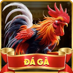 Đăng nhập tài khoản và bắt đầu trải nghiệm full88 uy tín App